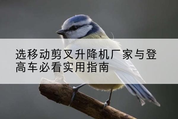 安达电动升降机厂家-选移动剪叉升降机厂家与登高车必看实用指南