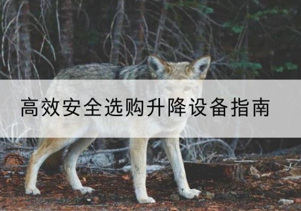 安达升降货梯厂家推荐-*安全选购升降设备指南