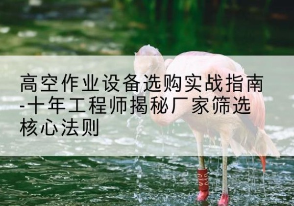 安达剪叉式升降机厂家-高空作业设备选购实战指南-十年工程师揭秘厂家筛选核心法则